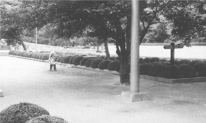 沿革